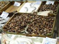 Melci de pus pe masa de Salonic...