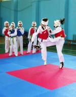 Taekwondoul, o arta...