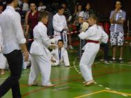 Lupta pe tatami...