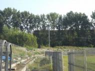 La stadionul Milcovul s-a depasit recolta de buruieni...