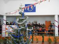 Bradul 2011 de la LPS Focsani...
