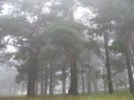 Asta este Vrancea...alege linistea de la Galaciuc...si frumusetea naturii...