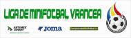 Bannerul oficial al competitiei...