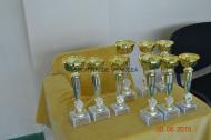 Cupele din 2013 pentru dans modern, majorete si fitness in scoala....