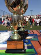Trofeul castigat de Viitorul Focsani la Bucuresti ...