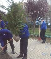 UMO SERV LA 20 DE ANI ... inceput de aniversare prin plantare ... 