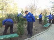 UMO SERV pentru un oras frUMOs ...