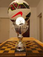 Cupa Iernii 2014 ...