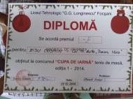 ZISU COSMIN - LOCUL I LA CUPA IERNII LA TENIS DE MASA EDITIA I ...