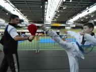 Demonstratie taekwondo de Vrancea in Germania ...