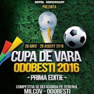 Odobestiul a fost capitala judetului la minifotbal in Vrancea in aceasta vara. Vine ea si iarna 2016 ...