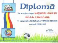 NATIONAL GOLESTI FACE PARTE DIN PATRIMONIUL COMUNEI GOLESTI ... LA MULTI ANI!