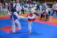 Adrian Dochioiu (pe scaun) vegheaza si pe tatami si la buna desfasurare a turneului ...