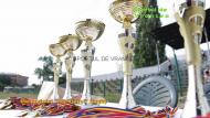 MEMORIALUL ION VIOREL LA RUGBY EDITIA A III-A, 2017 ...