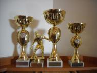 Trofeele competitiei