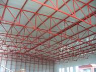"Bolta salii" in constructie...
