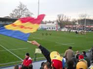 Tricolorul si stejarii au invins...HAI ROMANIA...
