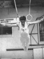 La Internationalele Ungariei in 1970